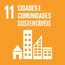 ODS 11