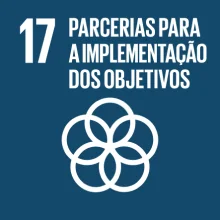 ODS 17